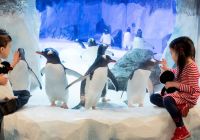 Visitar el acuario de Londres