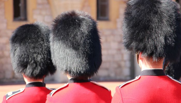 Tour con visita al Palacio de Buckingham y Castillo de Windsor