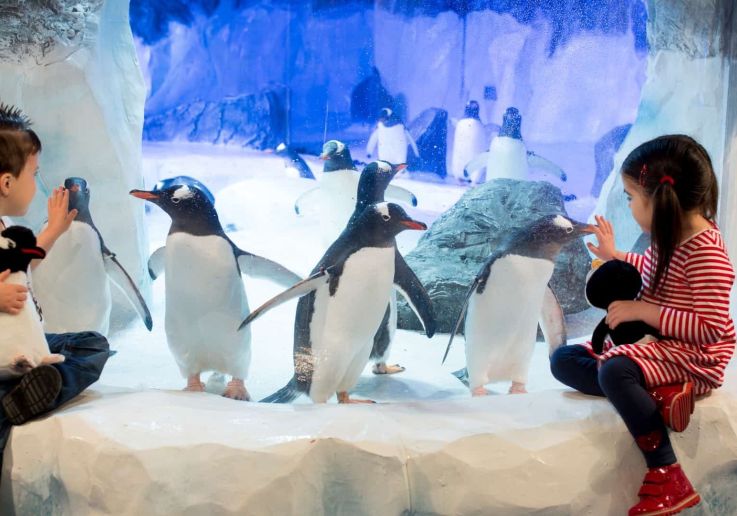 Visitar el acuario de Londres