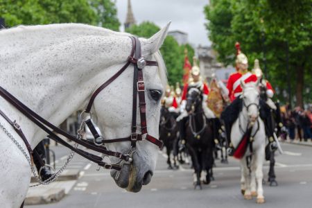 Cambio de Guardia en Londres