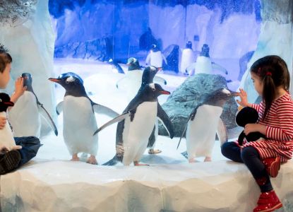 Visitar el acuario de Londres