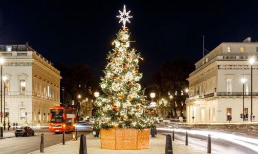 Tour de luces navideñas en autobús turístico