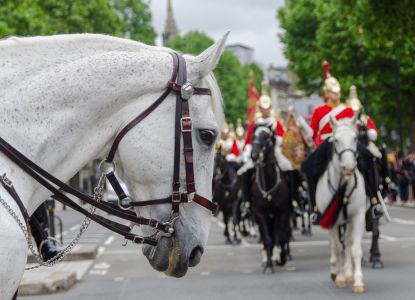 Cambio de Guardia en Londres